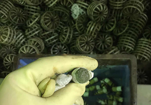 洗滌塔清洗保養 洗滌塔清洗保養